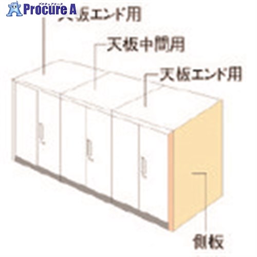 PLUS 648908)L6 ナチュラルパネル L6-NPS1145-R WM L6-NPS1145-R WM 1台 ■▼211-6562 【送料都度見積】