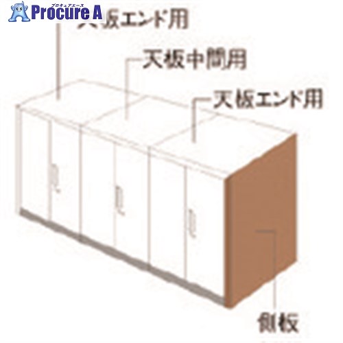 PLUS 648914)L6 ナチュラルパネル L6-NPS1145-R T2 L6-NPS1145-R T2 1台 ■▼211-6575 【送料都度見積】