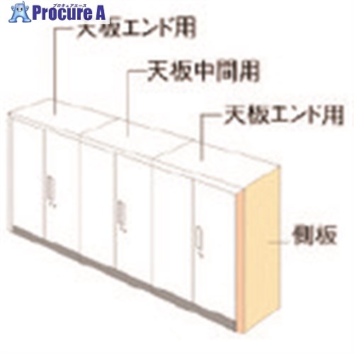 PLUS 648917)L6 ナチュラルパネル L6-NPS1140-K WM L6-NPS1140-K WM 1台 ■▼211-9319 【送料都度見積】