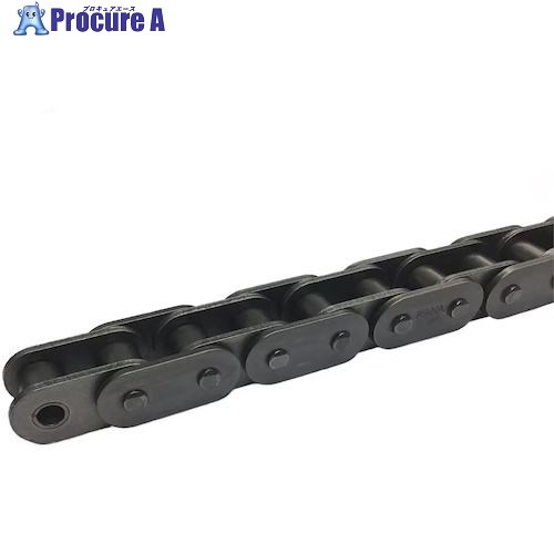 KANA 100F RP チエン 96L(3M) KANA100F-RPT 1本 ■▼421-7963 【代引決済不可】【送料都度見積】