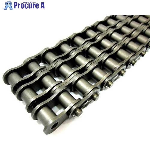 KANA 100-3CP チエン 96L(3M) KANA100-3CPT 1本 ■▼421-9580【代引決済不可】【貨物輸送都度積もり書き】