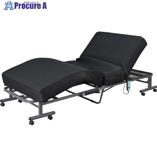 IRIS 100373 折りたたみ電動リクライニング臥榻 OTB-PDN 1台 ■▼438-4188 【貨物輸送都度積もり書き】