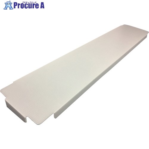 RISU テクセルBFボックス席蓋  脂製がら明き長尺ボックス席蓋500X1900X45 BF5F T5-1300 1900X500X45 1個 ■▼859-7217 【貨物輸送都度積もり書き】※車上乗り合い船