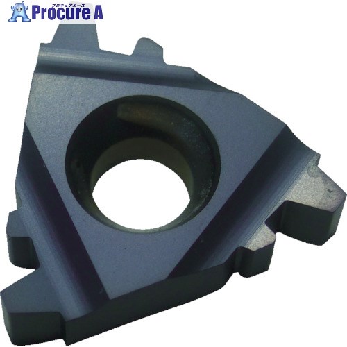 NOGA Carmexねじ切り用チップ TRAPEZ/台形ねじ用 チップサイズ16×P3.0×30° 16IR3TRBMA 10個 ■▼403-4899 【送料都度見積】
