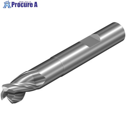 SANDVIK コロミルDura一般加工用超硬エンドミル(732) H10F 1K223-1600-100-NH H10F 1本 ■▼558-7958 【送料都度見積】 ●KO521