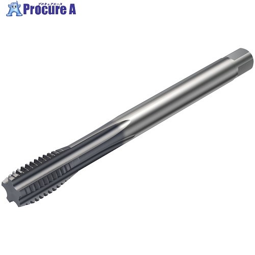SANDVIK コロタップ100 ストレートタップ(780) D210 T100-KM109DA-M14 D210 (780) 1本 ■▼324-6937 【送料都度見積】 ●KO521