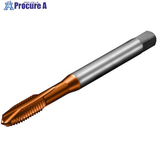 SANDVIK コロタップ200 ポイントタップ(781) C110 T200-XM100AA-M6 C110 (781) 1本 ■▼324-8460 【送料都度見積】 ●KO521