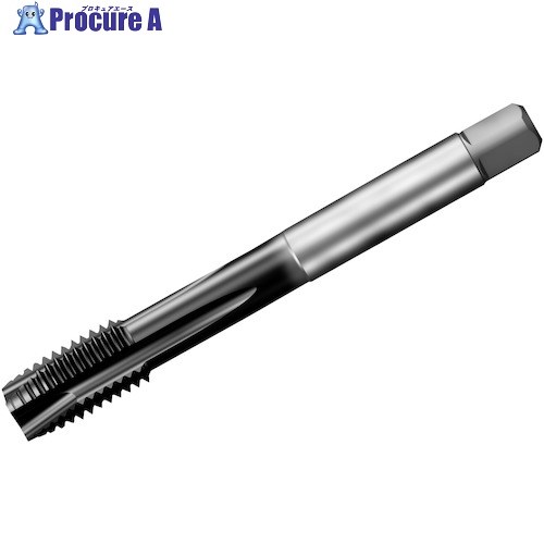SANDVIK コロタップ200 ポイントタップ(780) P1PM T200-PM101AE-1/2 P1PM (780) 1本 ■▼351-1127 【送料都度見積】 ●KO521|プロキュアエース