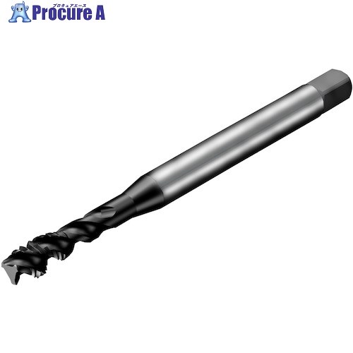SANDVIK コロタップ300 スパイラルタップ(780) P1PM T300-PM114AE-3/8 P1PM (780) 1本 ■▼351-2676 【送料都度見積】 ●KO521