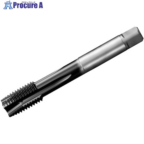 SANDVIK コロタップ200 ポイントタップ(780) P1PM T200-PM109AE-1/2 P1PM (780) 1本 ■▼351-4194 【送料都度見積】 ●KO521｜プロキュアエース 17,145円