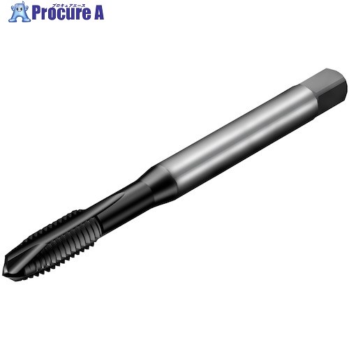 SANDVIK コロタップ200 ポイントタップ(780) P1PM T200-PM114AE-8-32 P1PM (780) 1本 ■▼351-4206 【送料都度見積】 ●KO521