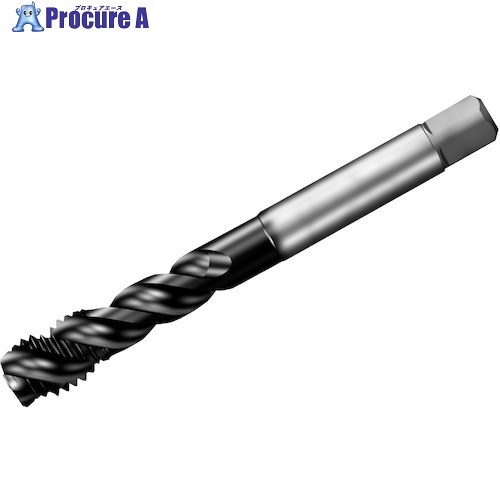SANDVIK コロタップ300 渦巻き水道栓(780) P1PM T300-PM115AF-3/4  P1PM (780) 1本 ■▼351-5797 【貨物輸送都度積もり書き】 ●KO521
