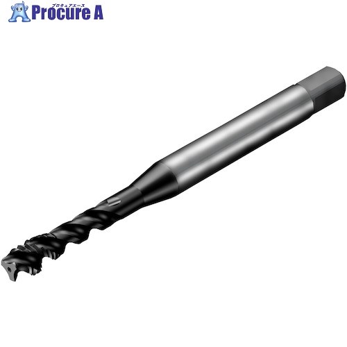 SANDVIK コロタップ300 スパイラルタップ(780) P1PM T300-PM104AF-1/4 P1PM (780) 1本 ■▼351-5837 【送料都度見積】 ●KO521