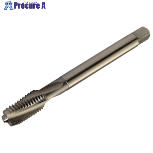 SANDVIK コロタップ300 スパイラルタップ(780) C145 T300-MM101AF-9/16 C145 1本 ■▼459-8991 【送料都度見積】 ●KO521