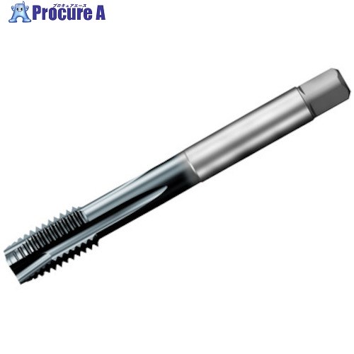 SANDVIK コロタップ200 ポイントタップ(780) D110 T200-PD101DA-M12 D110 1本 ■▼461-3259 【送料都度見積】 ●KO521|プロキュアエース