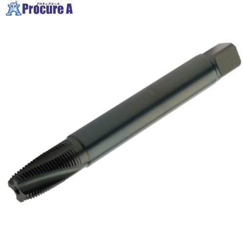 SANDVIK コロタップ300 スパイラルタップ(780) B145 T300-MM100AM-1/16 B145 1本 ■▼461-3332 【送料都度見積】 ●KO521|プロキュアエース