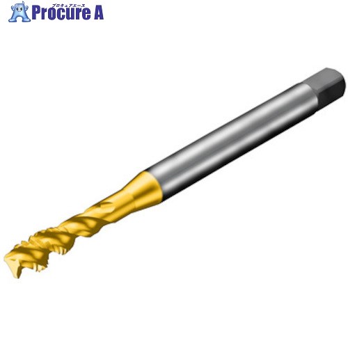 SANDVIK コロタップ300 スパイラルタップ(781) B125 T300-XM100DA-M6 B125 1本 ■▼461-3337 【送料都度見積】 ●KO521