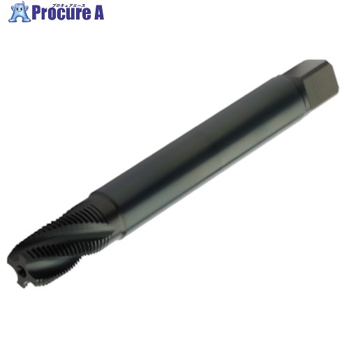 SANDVIK コロタップ300 スパイラルタップ(780) B145 T300-MM100AL-3/4  B145 1本 ■▼462-2772 【送料都度見積】 ●KO521