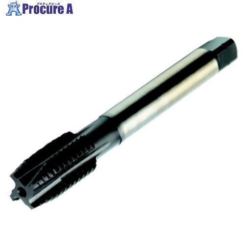 SANDVIK コロタップ200 尖んがり飲み口(780) C110 T200-MM100IA-M10  C110 1本 ■▼462-2797 【貨物輸送都度積もり書き】 ●KO521