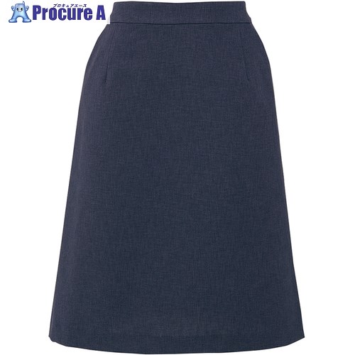 ピエ レディースAラインスカートAZ630022 ブルーグレー 19 AZ630022-090-19 1着 ■▼681-0328 【代引決済不可】【送料都度見積】