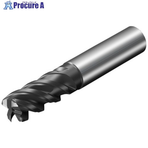 SANDVIK コロミルプルーラ(730) 1725 2F440-1270-304ASD 1725 (730) 1本 ■▼351-8844 【送料都度見積】 ●KO521