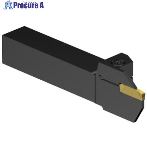 SANDVIK コロカット2 突切り・溝入れ加工用シャンクバイト(480) C2R-RS20-LG22DD 1本 ■▼632-7765 【送料都度見積】 ●KO521