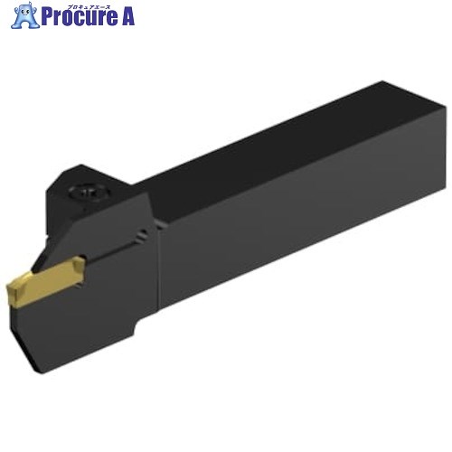 SANDVIK コロカット2 突切り・溝入れ加工用シャンクバイト(480) C2R-RSA12-RG22DD 1本 ■▼633-1036 【送料都度見積】 ●KO521