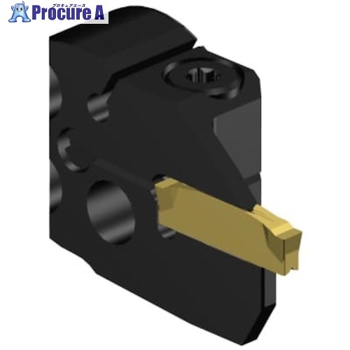 SANDVIK コロカット2 突切り・溝入れ加工用カッティングヘッド(420) C2R-SL25-RG13GC 1個 ■▼635-5540 【送料都度見積】 ●KO521