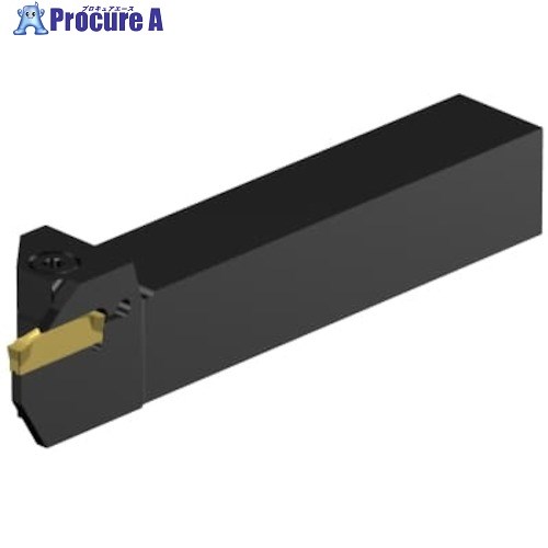 SANDVIK コロカット2 突切り・溝入れ加工用シャンクバイト(480) C2R-RS20-RG10DB 1本 ■▼635-5549 【送料都度見積】 ●KO521
