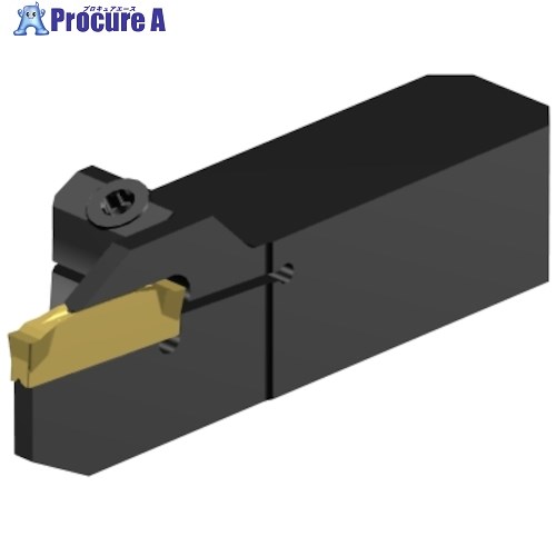 SANDVIK コロカット2 突切り・溝入れ加工用QSシャンクバイト(480) C2R-QSA10-RG17DS 1本 ■▼635-5713 【送料都度見積】 ●KO521｜プロキュアエース