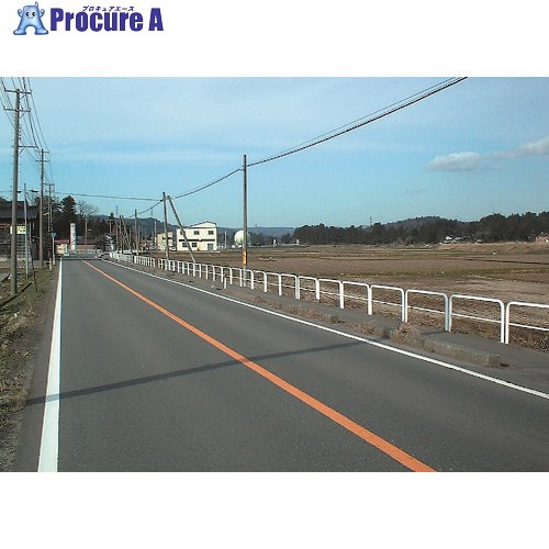 積水 セイフテイパイプTP-8P2-10W シロ シチュウカンカク＝1000 H＝800 TP-8P2-10W 1台 ■▼195-2993 【貨物輸送都度積もり書き】