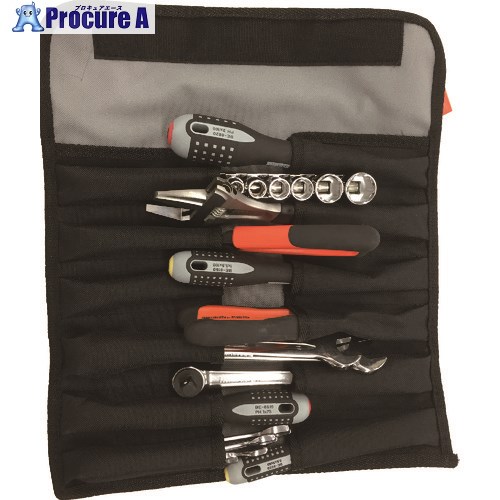 BAHCO ツールキット 工具セット 差込角9.5mm 22点セット TOOLCASE22A 1S ▼856-7558 ｜プロキュアエース
