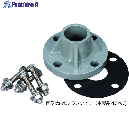 日本フイルター EGH-1-C型用オプション 「EGH-1-C 出口 TS-CPVCフランジ20A ASSY」 F161-0020-350 1個 ■▼369-4115 【送料都度見積】