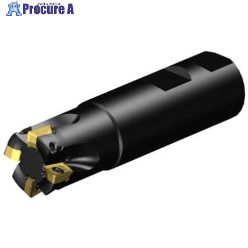 SANDVIK コロミルMS20肩削りカッター(440) MS20-AR025M25-10H 1個 ■▼679-9445 【送料都度見積】 ●KO521