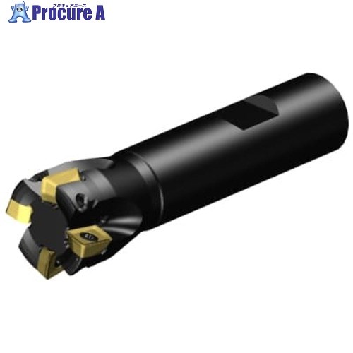 SANDVIK コロミルMS20肩削りカッター(440) MS20-AR025M19-10H 1個 ■▼679-9514 【送料都度見積】 ●KO521