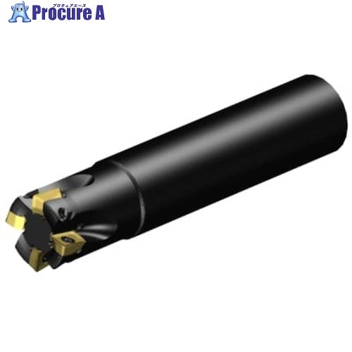 SANDVIK コロミルMS20肩削りカッター(440) MS20-R025A25-10H 1個 ■▼679-9519 【送料都度見積】 ●KO521