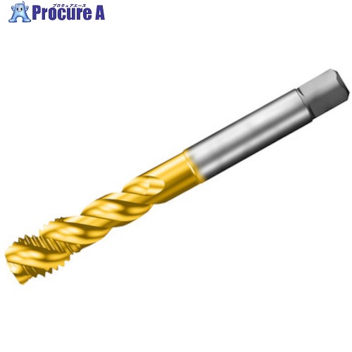 SANDVIK コロタップ300 スパイラルタップ(780) D125 T300-SD101DA-M5 D125 (780) 1本 ■▼313-4293 【送料都度見積】 ●KO521