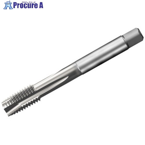 SANDVIK コロタップ200 ポイントタップ(781) B150 T200-XM101DF-3/4 B150 (781) 1本 ■▼313-4309 【送料都度見積】 ●KO521｜プロキュアエース