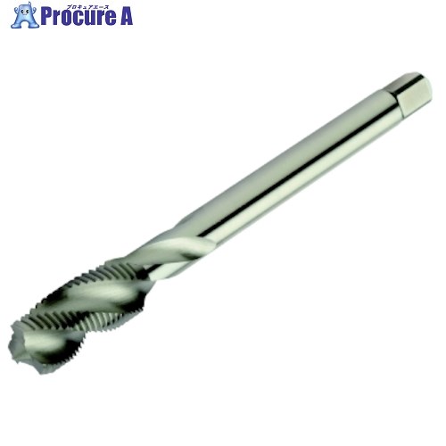 SANDVIK コロタップ300 スパイラルタップ(780) B150 T300-NM100DB-M12X150B150 (780) 1本 ■▼313-4322 【送料都度見積】 ●KO521