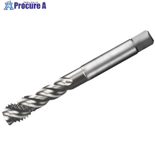 SANDVIK コロタップ300 スパイラルタップ(781) B150 T300-XM101DE-7/8 B150 (781) 1本 ■▼313-4343 【送料都度見積】 ●KO521