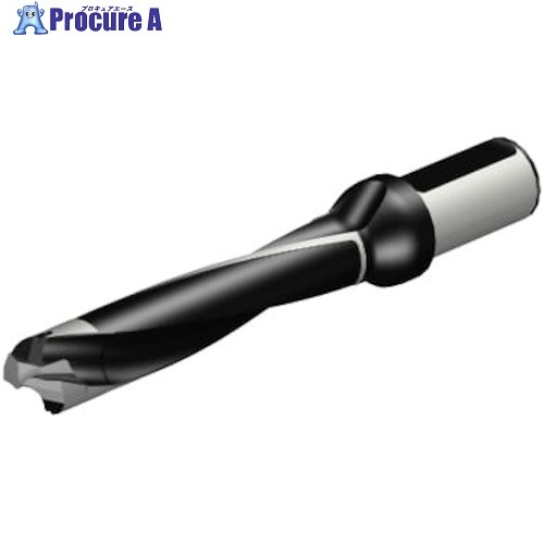 SANDVIK コロドリル870 ヘッド交換式ドリル(446) 870-2900-29LX125-5 (446) 1本 ■▼313-7277 【送料都度見積】 ●KO521 60,333円