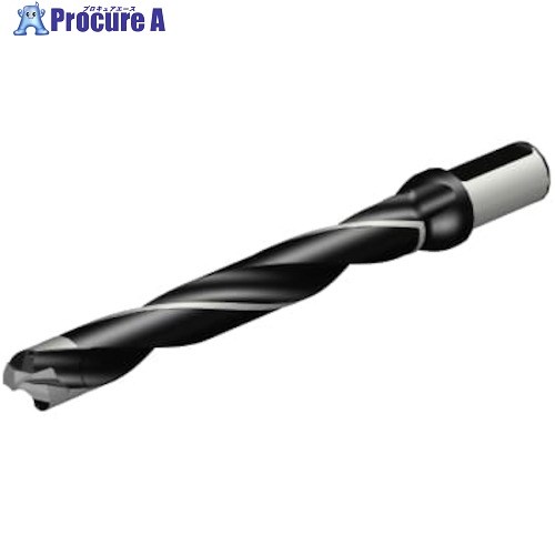 SANDVIK コロドリル870 頭顱取り替えっこ式せん孔機(446) 870-3000-30LX125-8 (446) 1本 ■▼313-8842 【貨物輸送都度積もり書き】 ●KO521 その他-切削・研削工具用アクセサリー-DIY・工具
