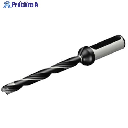 SANDVIK コロドリル870 ヘッド交換式ドリル(446) 870-1000-6LX063-10 (446) 1本 ■▼313-8909 【送料都度見積】 ●KO521｜プロキュアエース