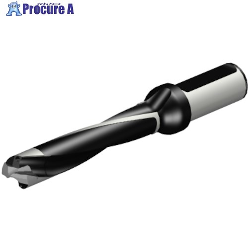 SANDVIK コロドリル870 ヘッド交換式ドリル(446) 870-2200-22LX1-5 (446) 1本 ■▼314-0401 【送料都度見積】 ●KO521|プロキュアエース