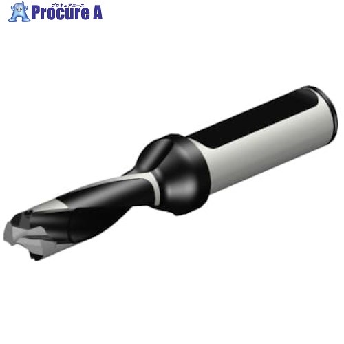 SANDVIK コロドリル870 ヘッド交換式ドリル(446) 870-1300-12LX063-3 (446) 1本 ■▼314-0438 【送料都度見積】 ●KO521