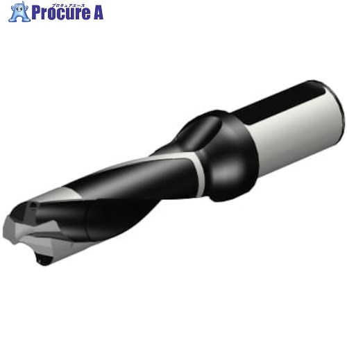 SANDVIK コロドリル870 ヘッド交換式ドリル(446) 870-3000-30LX125-3 (446) 1本 ■▼314-0478 【送料都度見積】 ●KO521|プロキュアエース