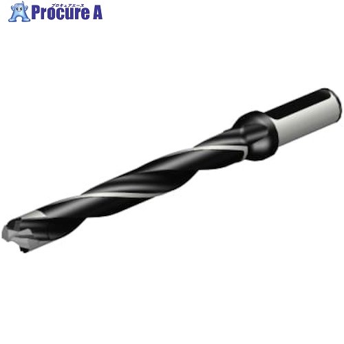 SANDVIK コロドリル870 尖端取り替えっこ式せん孔機(446) 870-1800-18LX075-8 (446) 1本 ■▼314-0480 【貨物輸送都度積もり書き】 ●KO521