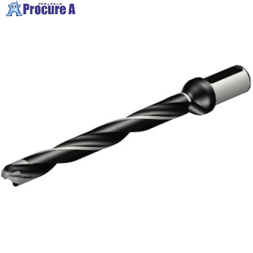 SANDVIK コロドリル870 ヘッド交換式ドリル(446) 870-2400-24LX125-10 (446) 1本 ■▼314-2054 【送料都度見積】 ●KO521