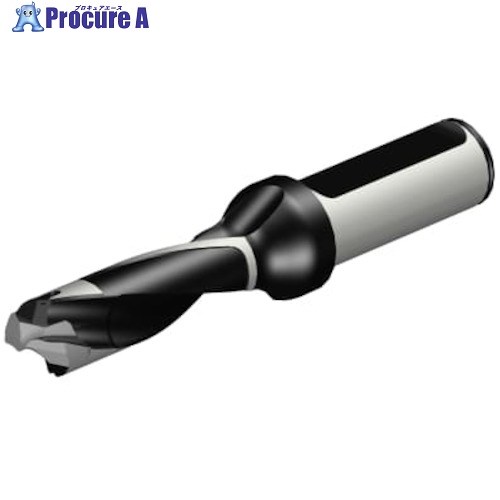 SANDVIK コロドリル870 ヘッド交換式ドリル(446) 870-1700-17LX075-3 (446) 1本 ■▼314-3565 【送料都度見積】 ●KO521|プロキュアエース