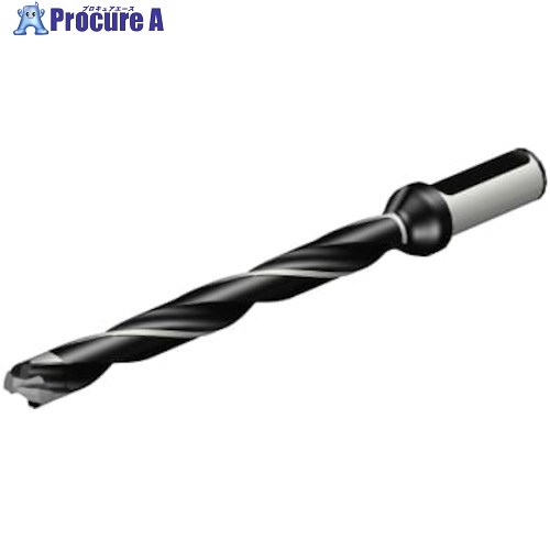 SANDVIK コロドリル870 ヘッド交換式ドリル(446) 870-1600-16LX075-10 (446) 1本 ■▼314-3626 【送料都度見積】 ●KO521